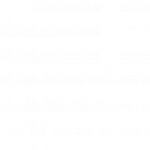 WithSecure_Silver_Partner_white